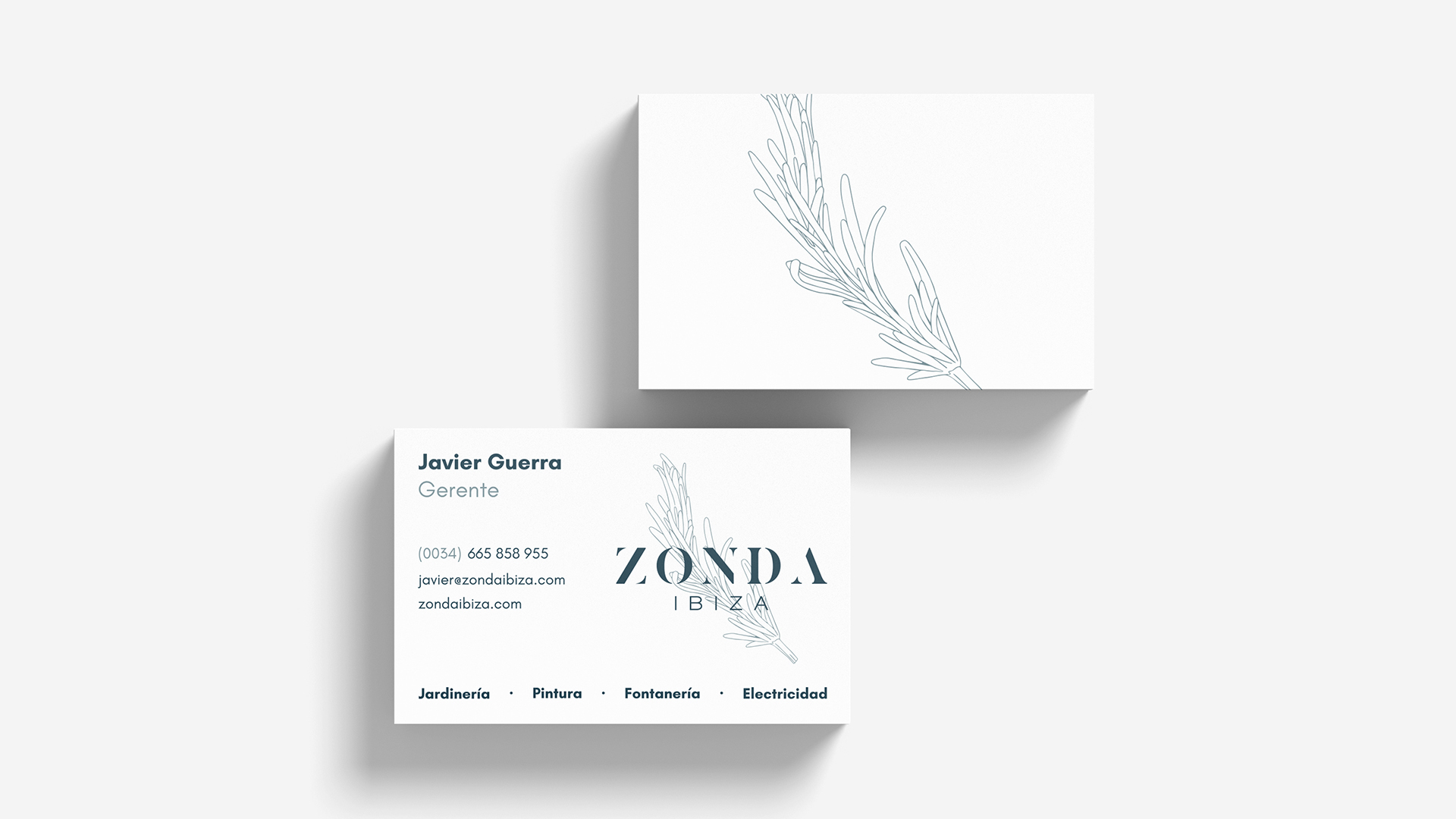 zonda_cards